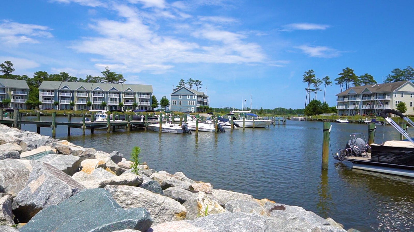 Glen Riddle
