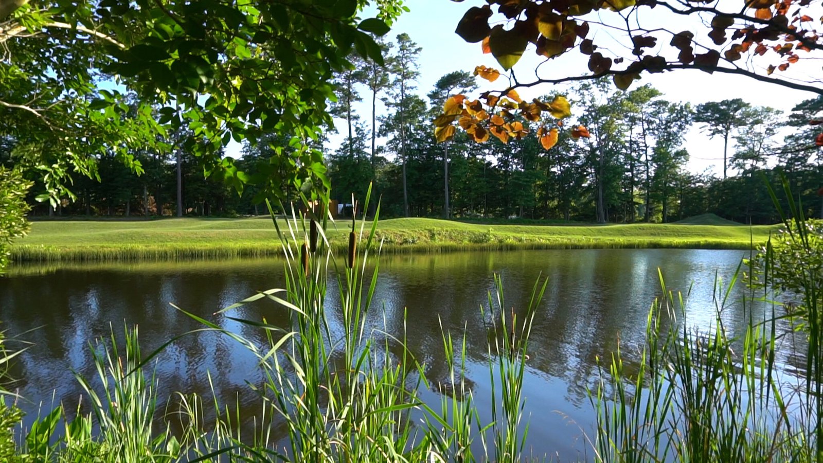 Glen Riddle